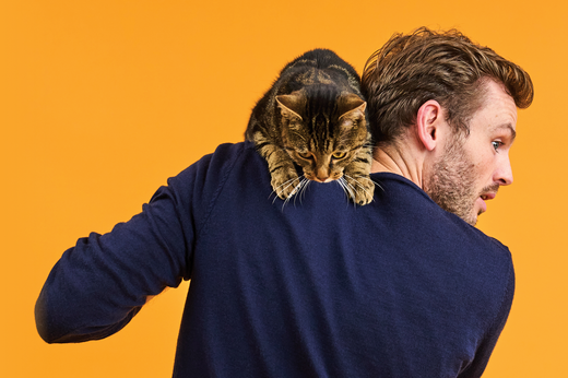 Rory the Vet with a cat on his shoulder