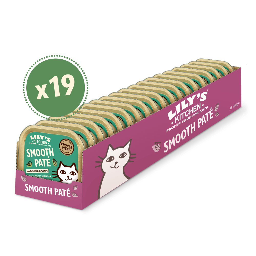 Packaging for Lily's Kitchen Smooth Paté, showing 19 individual sachets of cat food, with a green label and a cartoon image of a cat on the front.