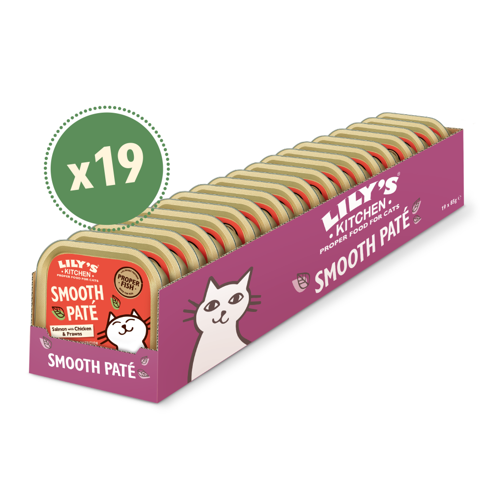 Multipack of 19 Lily's Kitchen Salmon and Chicken Smooth Paté cans for cats in pink and beige packaging with cat illustration.