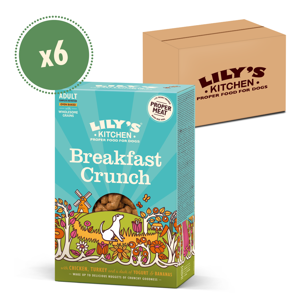 Lily's Kitchen dog food package with a cardboard box labeled 'Lily's Kitchen'.