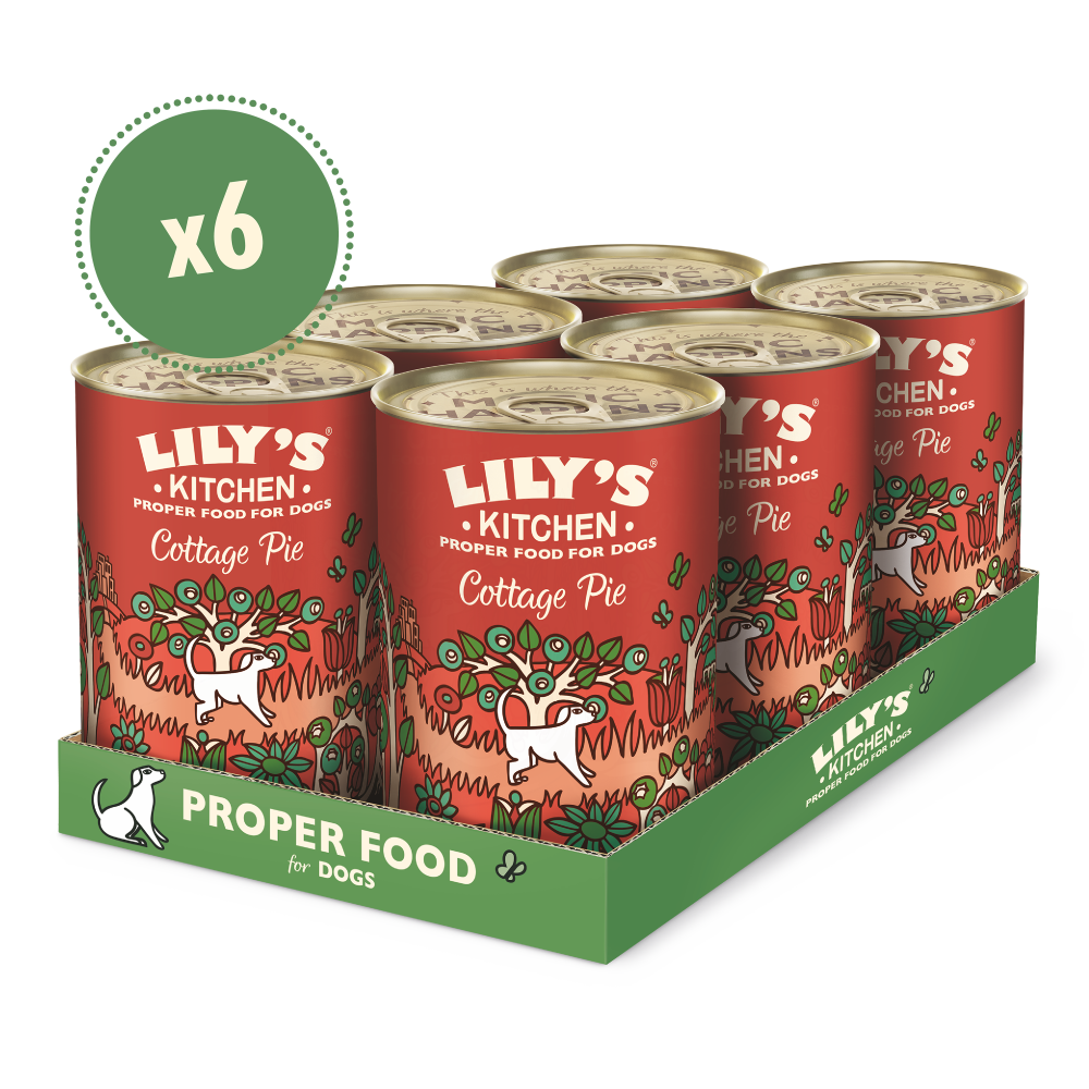 Six-pack of Lily's Kitchen Cottage Pie dog food cans in a green tray with red and green labels and dog illustration.