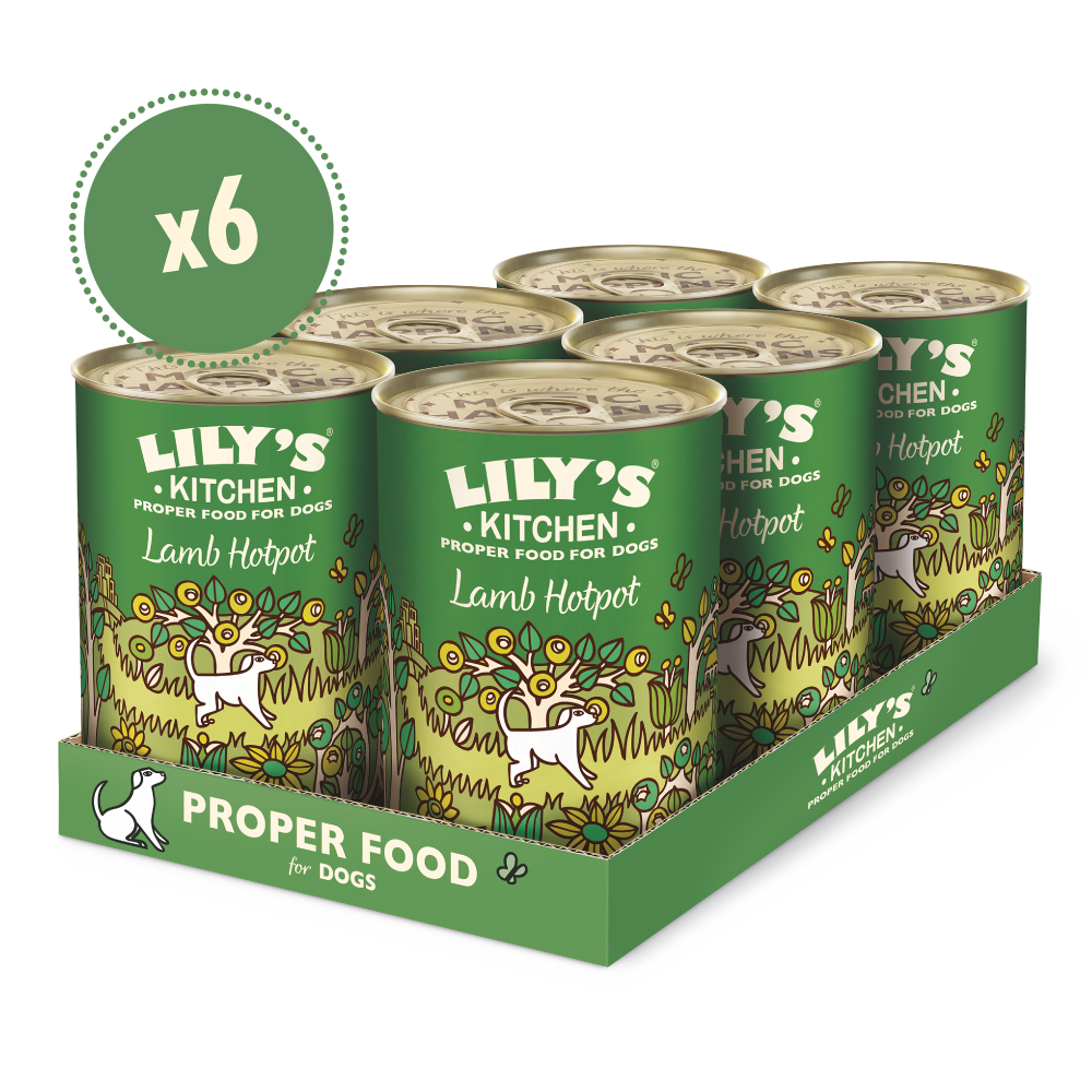 Six-pack of Lily's Kitchen Lamb Hotpot dog food cans with green labels featuring cartoon lamb and garden illustrations.
