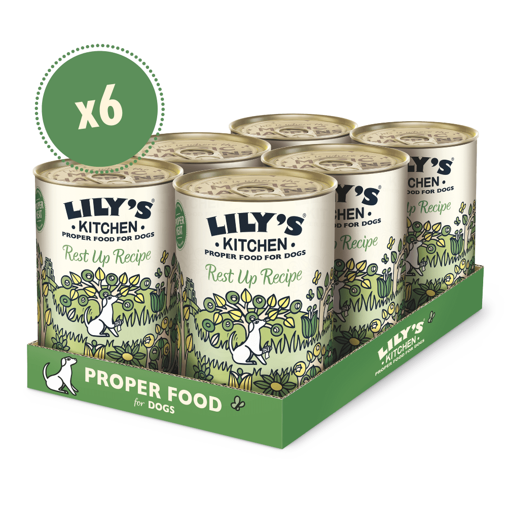 A pack of six Lily's Kitchen dog food tubs with 'Rest Up Recipe' for dogs displayed on the packaging.