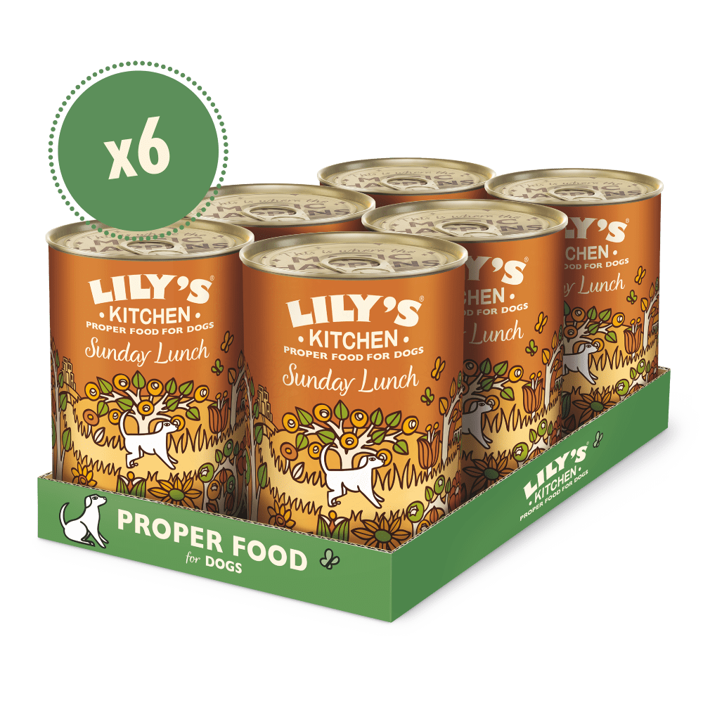 A pack of six Lily's Kitchen Sunday Food for dogs in a display box.