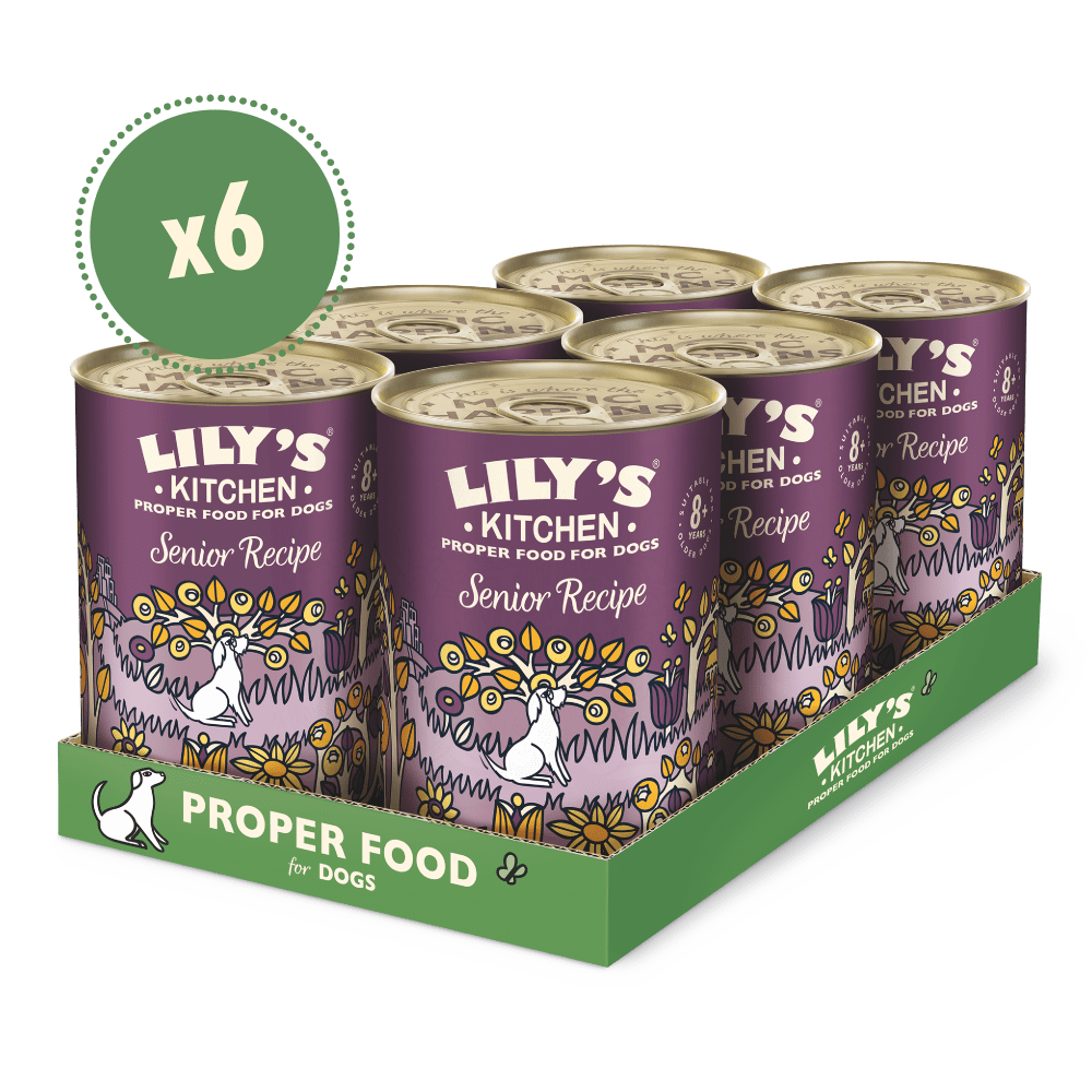 A box containing six cans of Lily's Kitchen senior recipe dog food, with each can featuring an illustration of a serene garden scene with flowers and a dog.