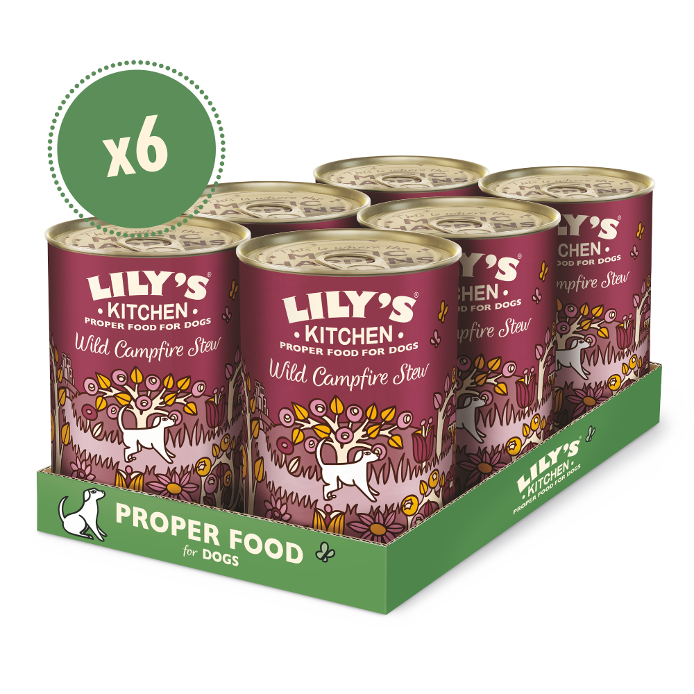 A pack of six Lily's Kitchen Wild Campfire Stew cans for dogs, with a price tag of x6. The cans feature an illustration of a dog and plants, indicating the product is dog food.