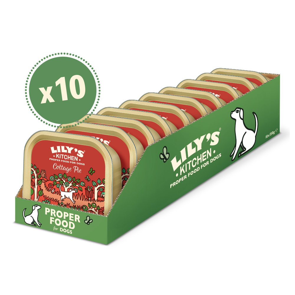 Pack of ten 150g trays of Lily's Kitchen Cottage Pie dog food in green and red packaging displayed in a green cardboard box.