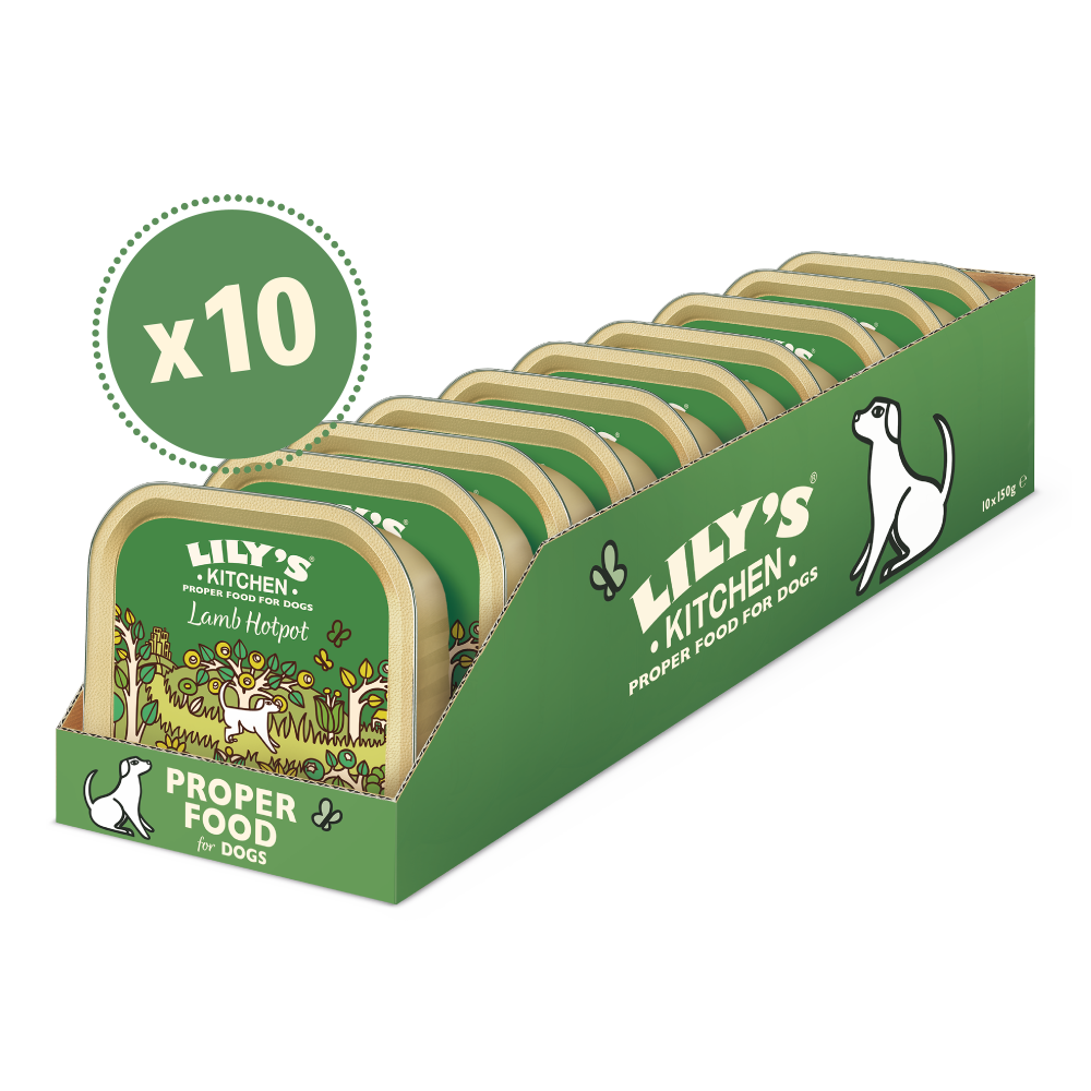 Green and beige carton holding 10 trays of Lily’s Kitchen Lamb Hotpot dog food with dog illustrations and branding.