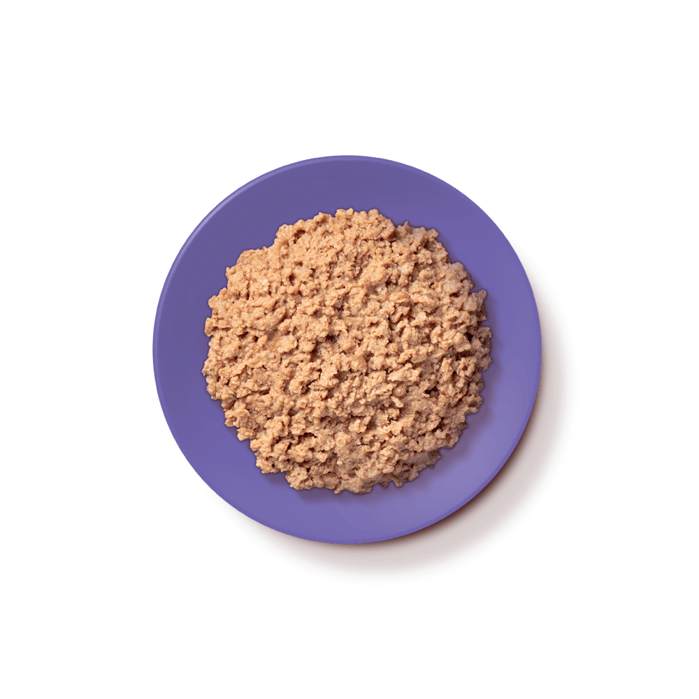 Chicken Pâté Senior Cats (85g)