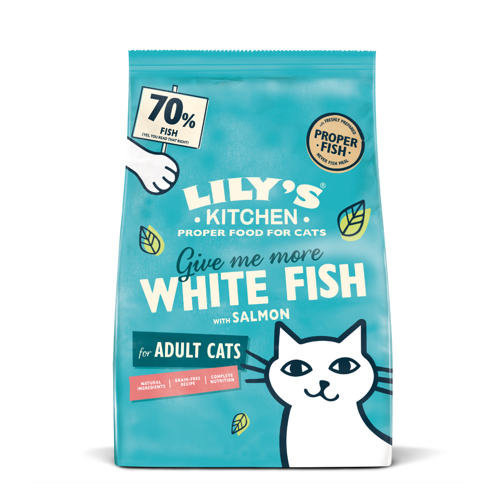 Weissfisch der saison und Lachs (800g)