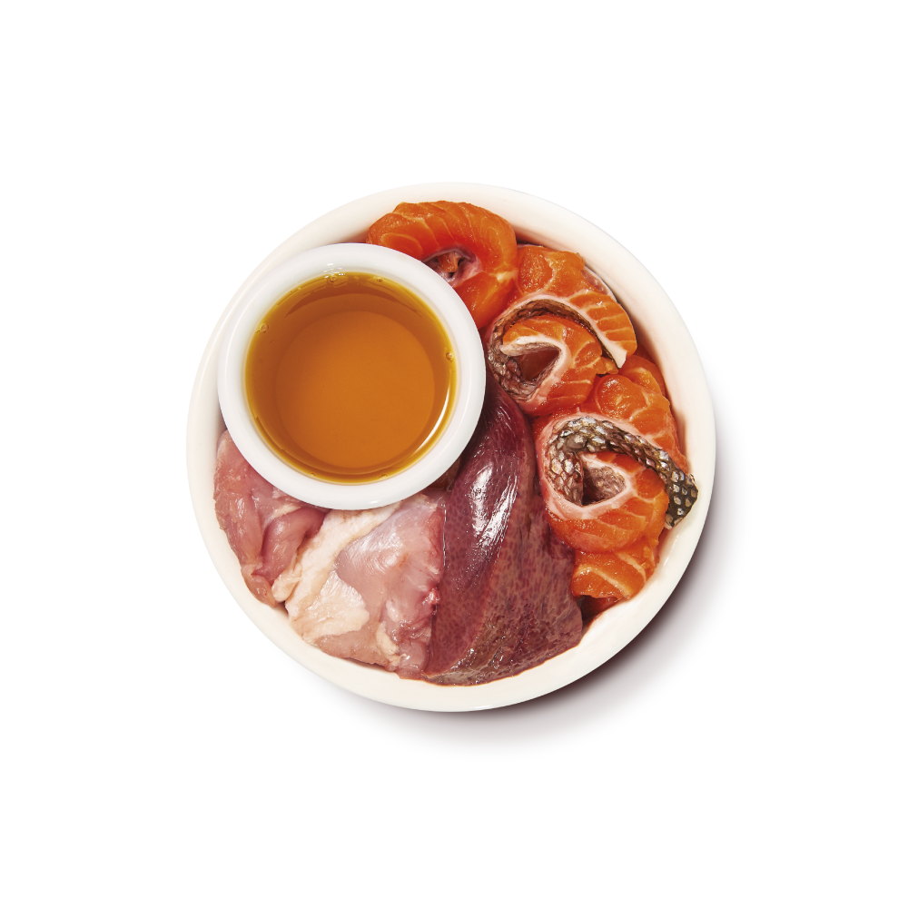 Bio Fisch Pastete (19 x 85g)
