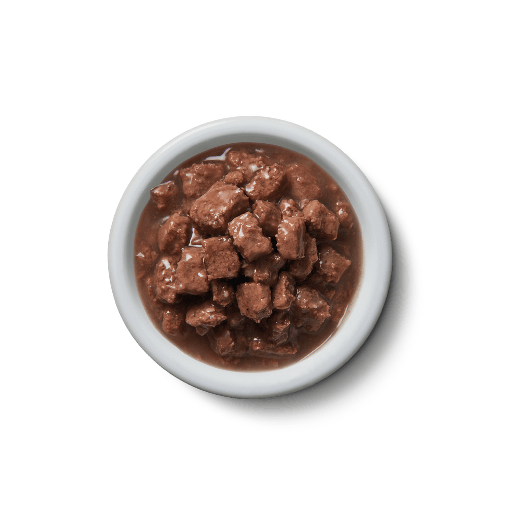 Bowl of brown chicken and fish chunks in gravy cat food.