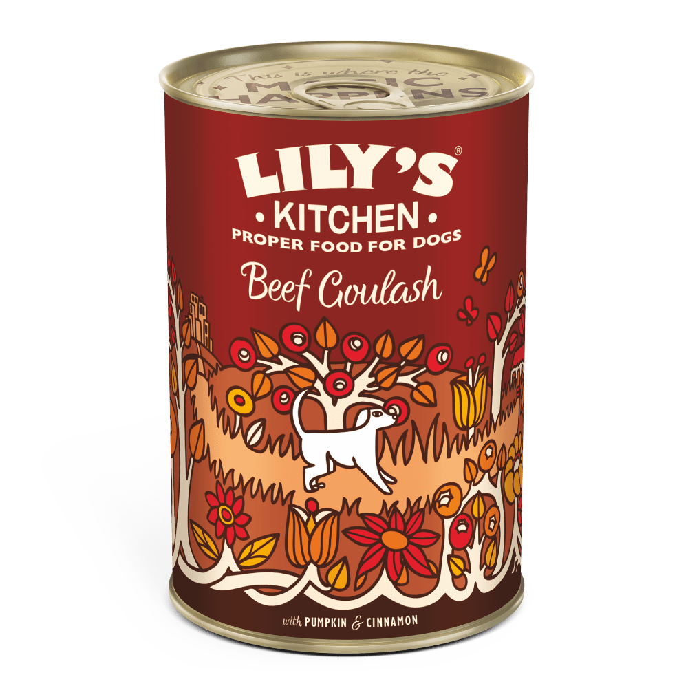 A can of Lily's Kitchen beef goulash dog food with pumpkin and cinnamon, featuring an illustration of a dog, leaves, and berries on the label.