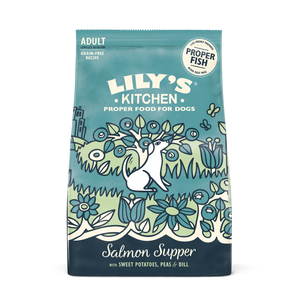 Salmon Recipe All-in-One Dry Food (1kg)