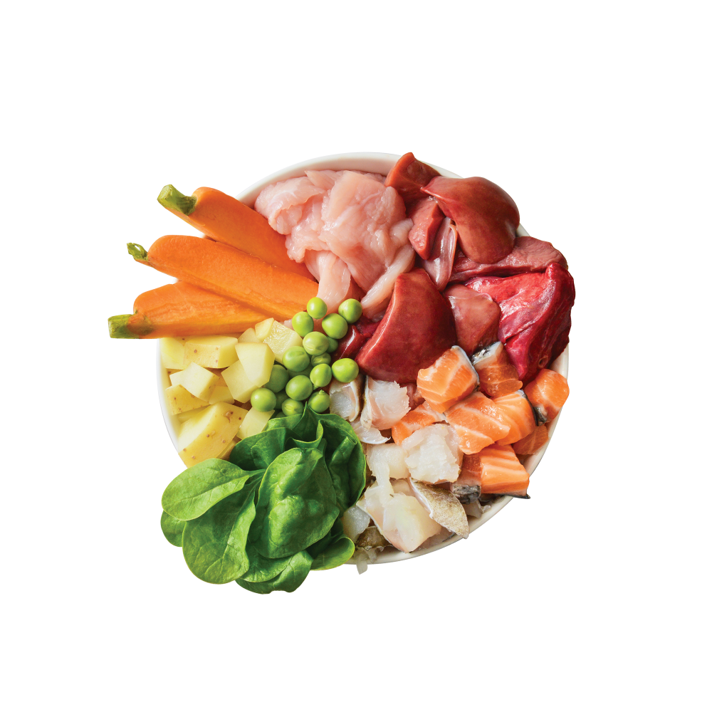 Fishy Fish Pie with Peas (400g)