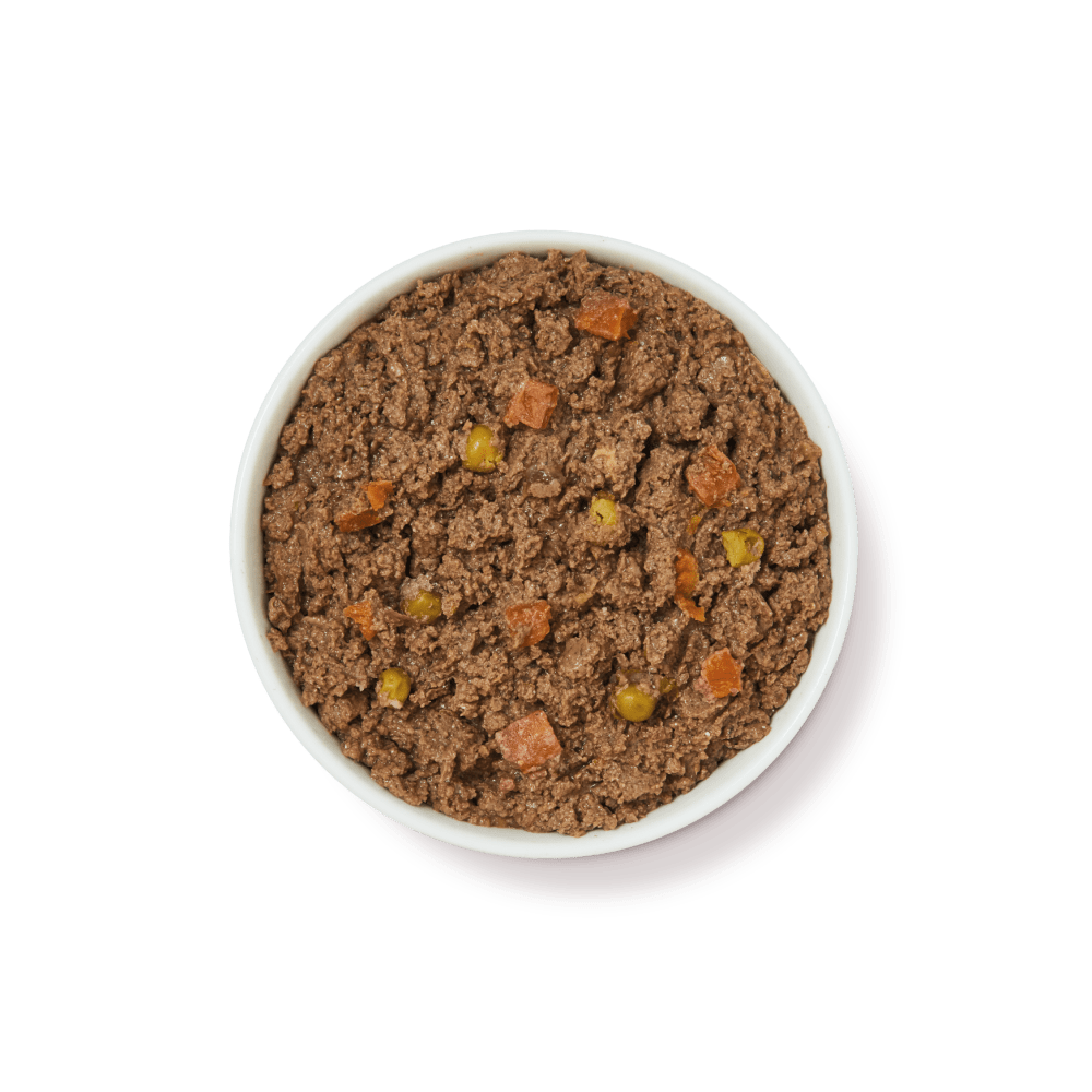 White bowl filled with organic lamb mince mixed with small bits of carrot and peas.