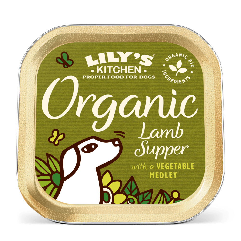 Square container of Lily's Kitchen Organic Lamb Supper dog food with green label and white dog illustration.