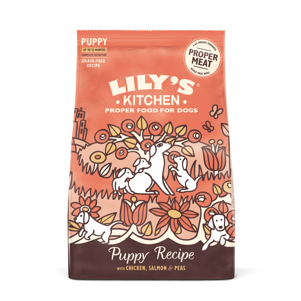 A bag of Lily's Kitchen dog food featuring an illustration of puppies, chicken, and salmon, with the product name 'Puppy Recipe with Chicken, Salmon & Peas'.
