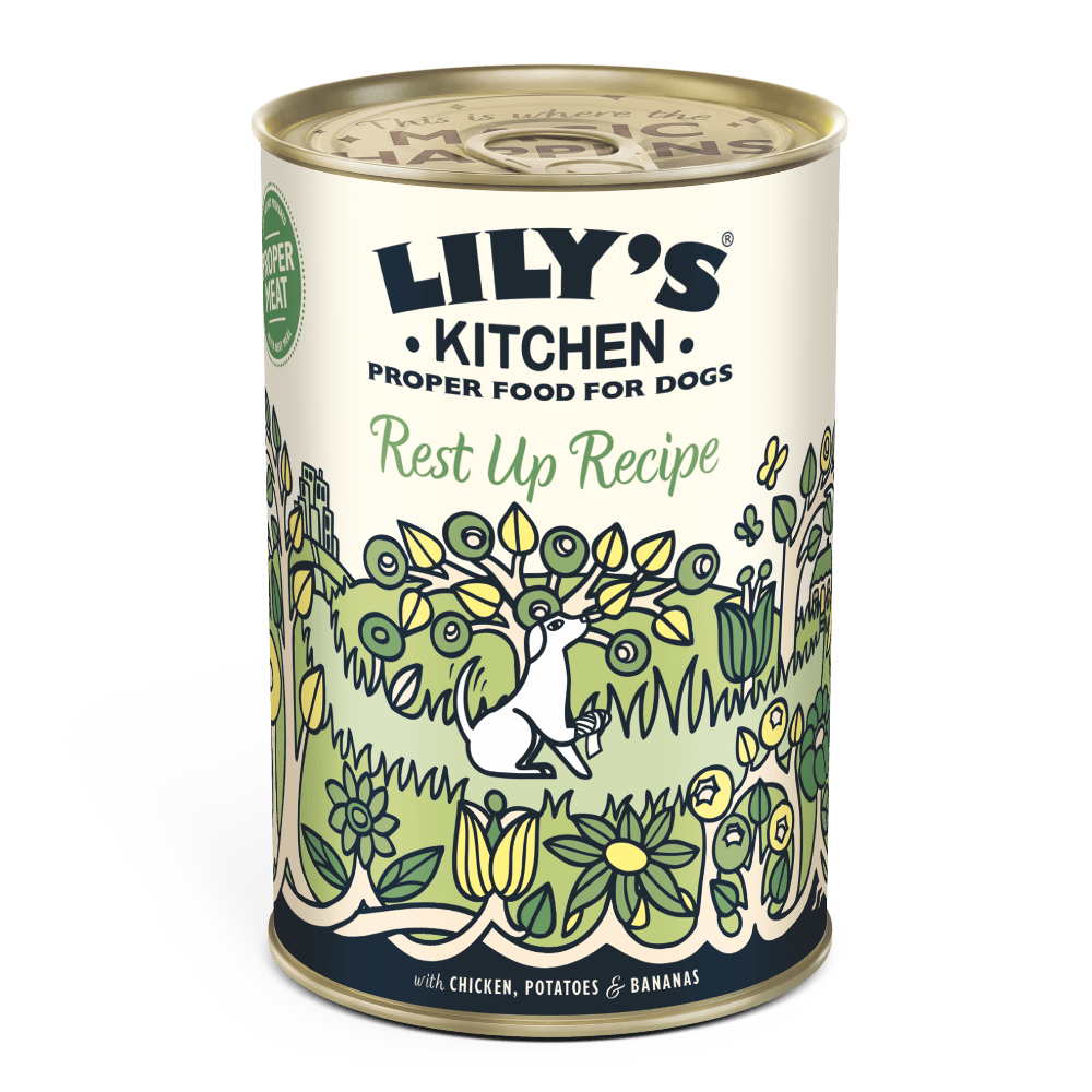 A can of Lily's Kitchen dog food with a label that includes the brand name and the product name 'Rest Up Recipe'. The background is white with a green and white pattern.