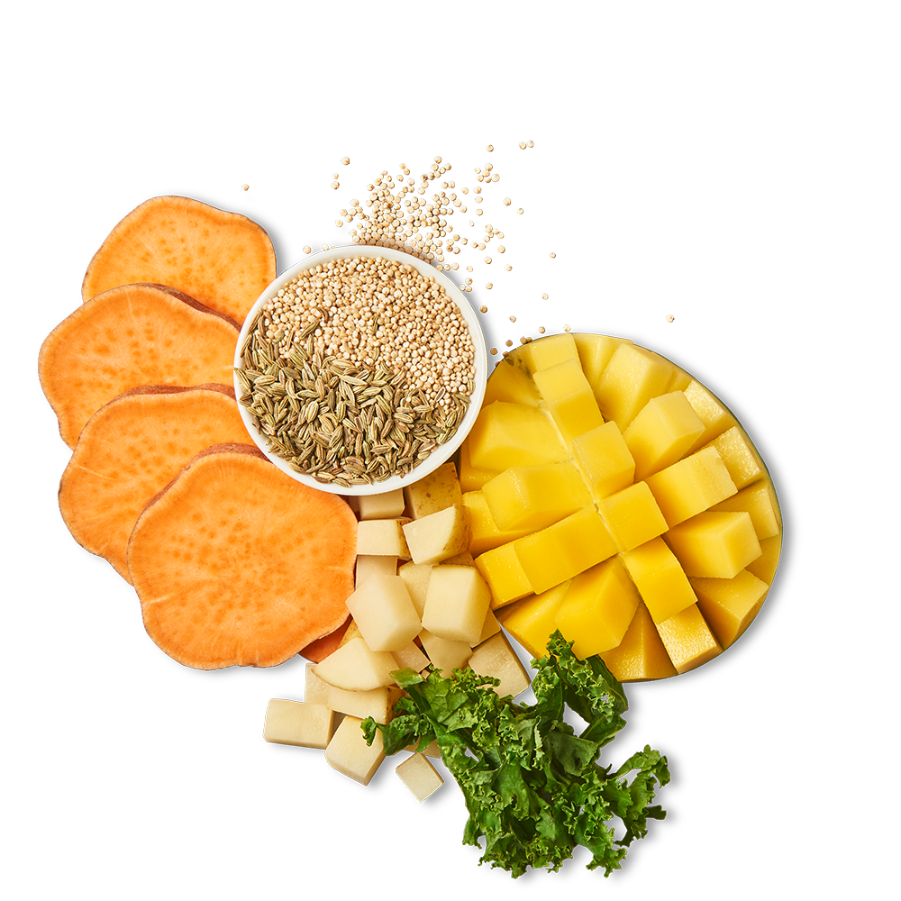 Mango-Kaustreifen für Hunde voller Pflanzenpower (70g)