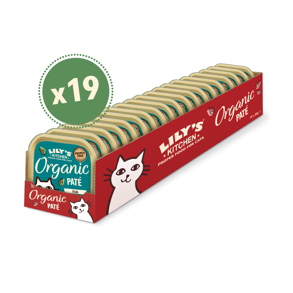Bio Fisch Pastete (19 x 85g)