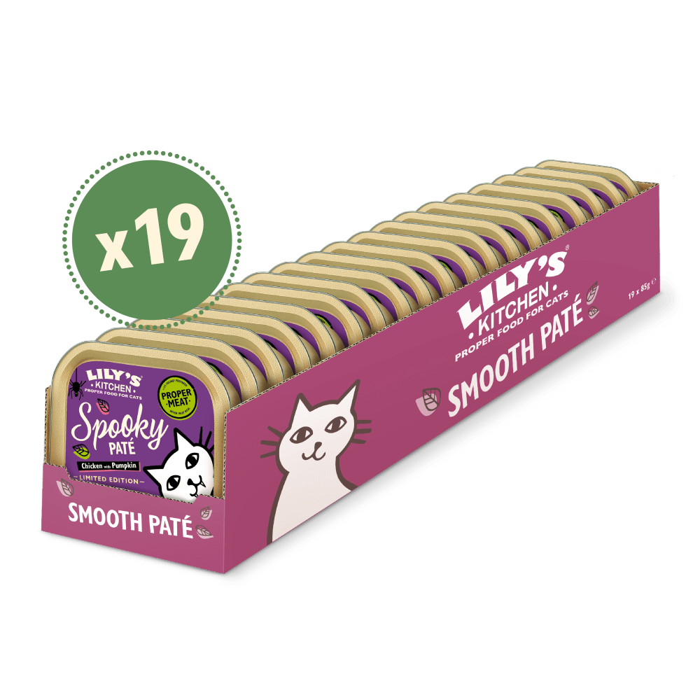 Box of Lily's Kitchen cat treats with 19 packages visible, featuring a purple and beige design.