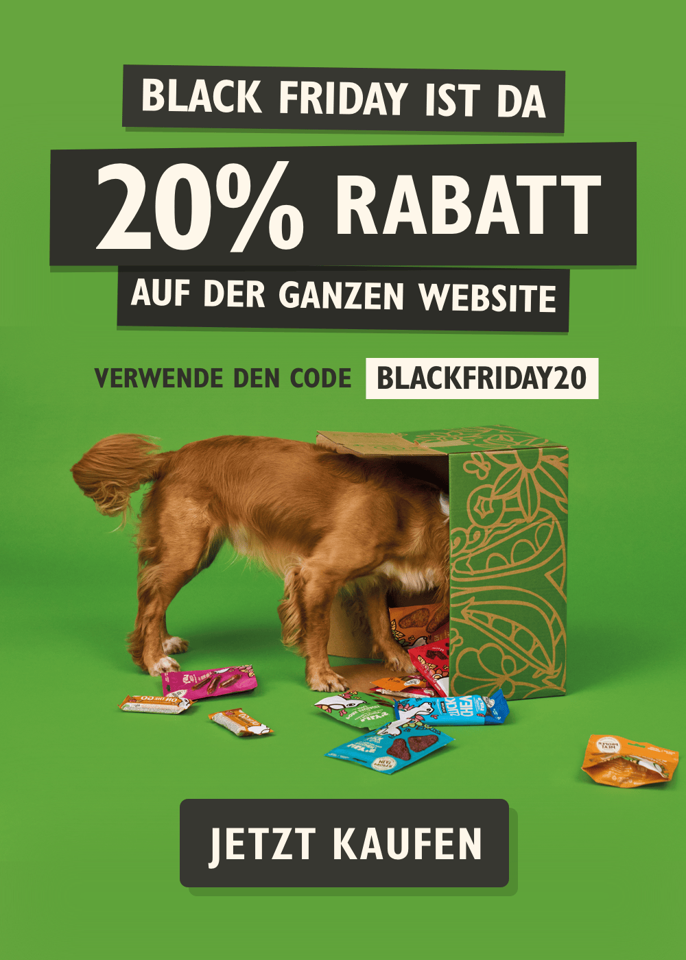 Promotional advertisement for a 20% discount on a website with a dog interacting with treats and a green box.