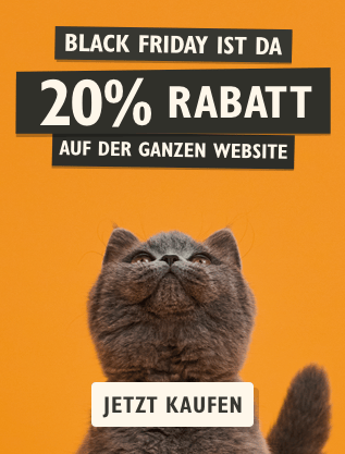 Promotional poster with a cat and Black Friday discount text on an orange background