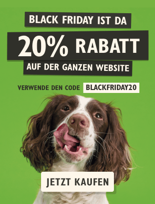 Dog with a Black Friday advertisement on a green background
