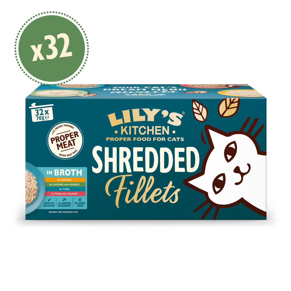 Lily's Kitchen Shredded Fillets in Broth cat food multipack box with white cat illustration and teal background.