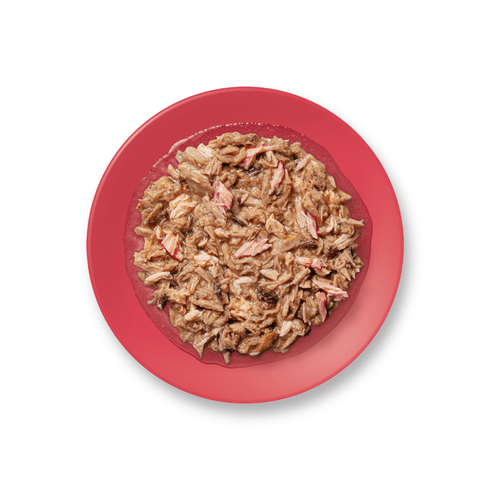 Red bowl with pet food on a white background