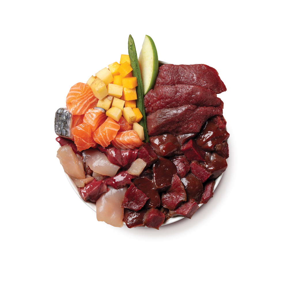 Wild Campfire Stew (400g)