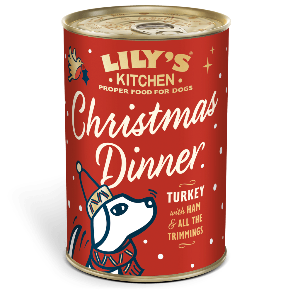 Lily's Kitchen Christmas Dinner for dogs can on a white background