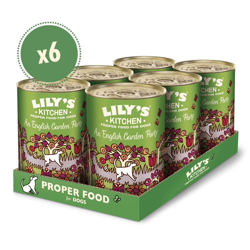 Huhn mit Kartoffeln und einem Hauch Erdbeeren (6x400g)