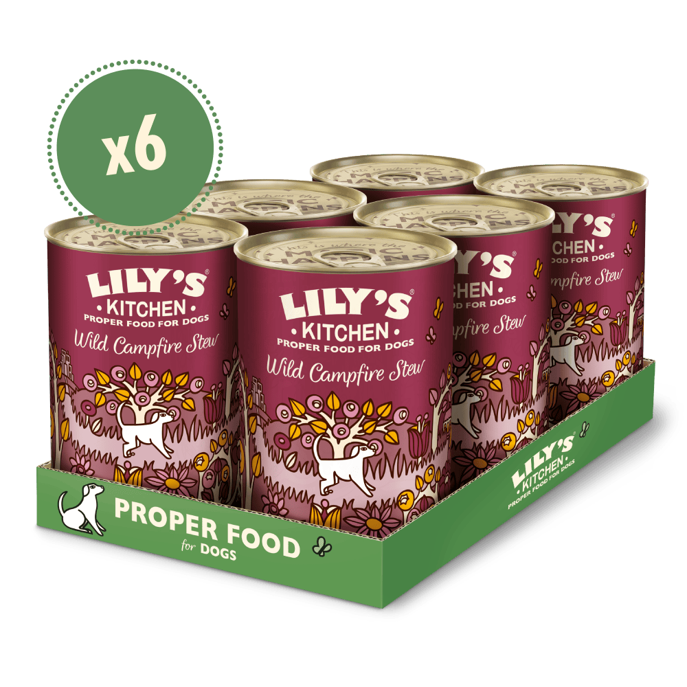 Hirscheintopf mit Fasan und Lachs (400g)