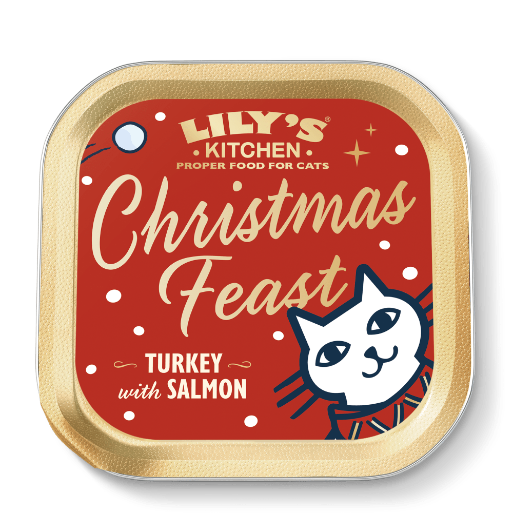Lily's Kitchen cat food tin labeled 'Christmas Feast' with a red background and gold border.