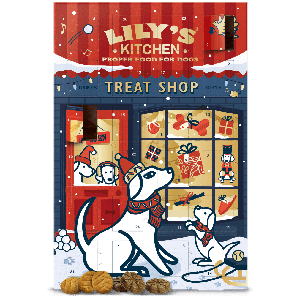Lily's Kitchen dog treat advent calendar with cartoon dogs and festive design.