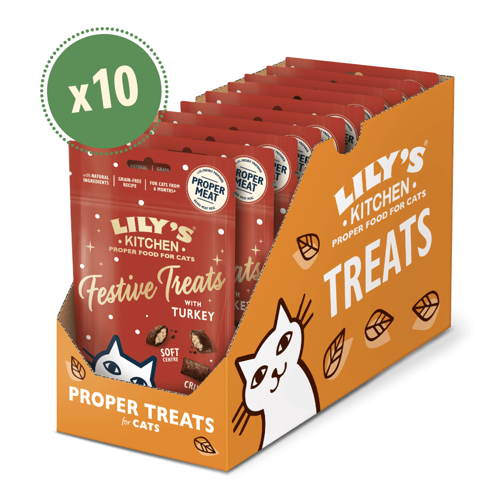 Packaging of Lily's Kitchen cat treats with multiple red packages and an orange box.
