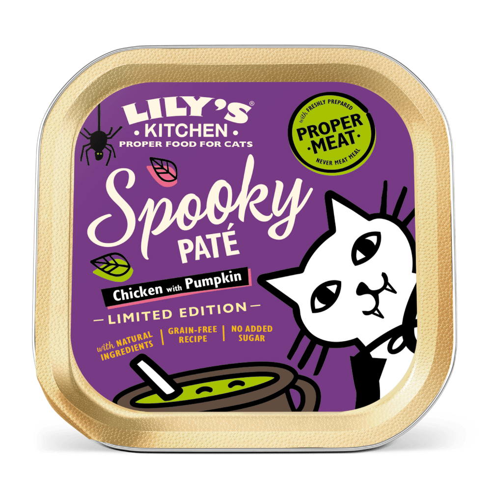 Tray of Lily's Kitchen cat pate, featuring a purple and beige design.