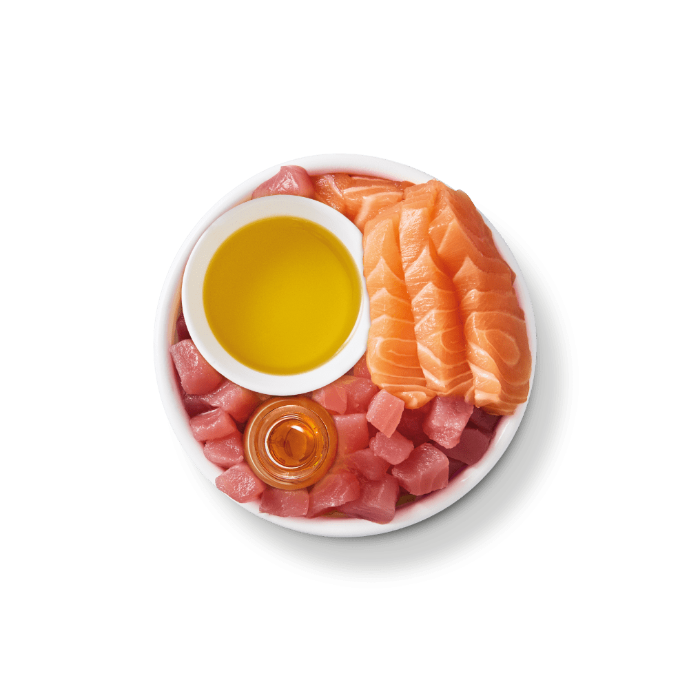Filets aus zerkleinertem Thunfisch und Lachs für Katzen (24 x 70g)
