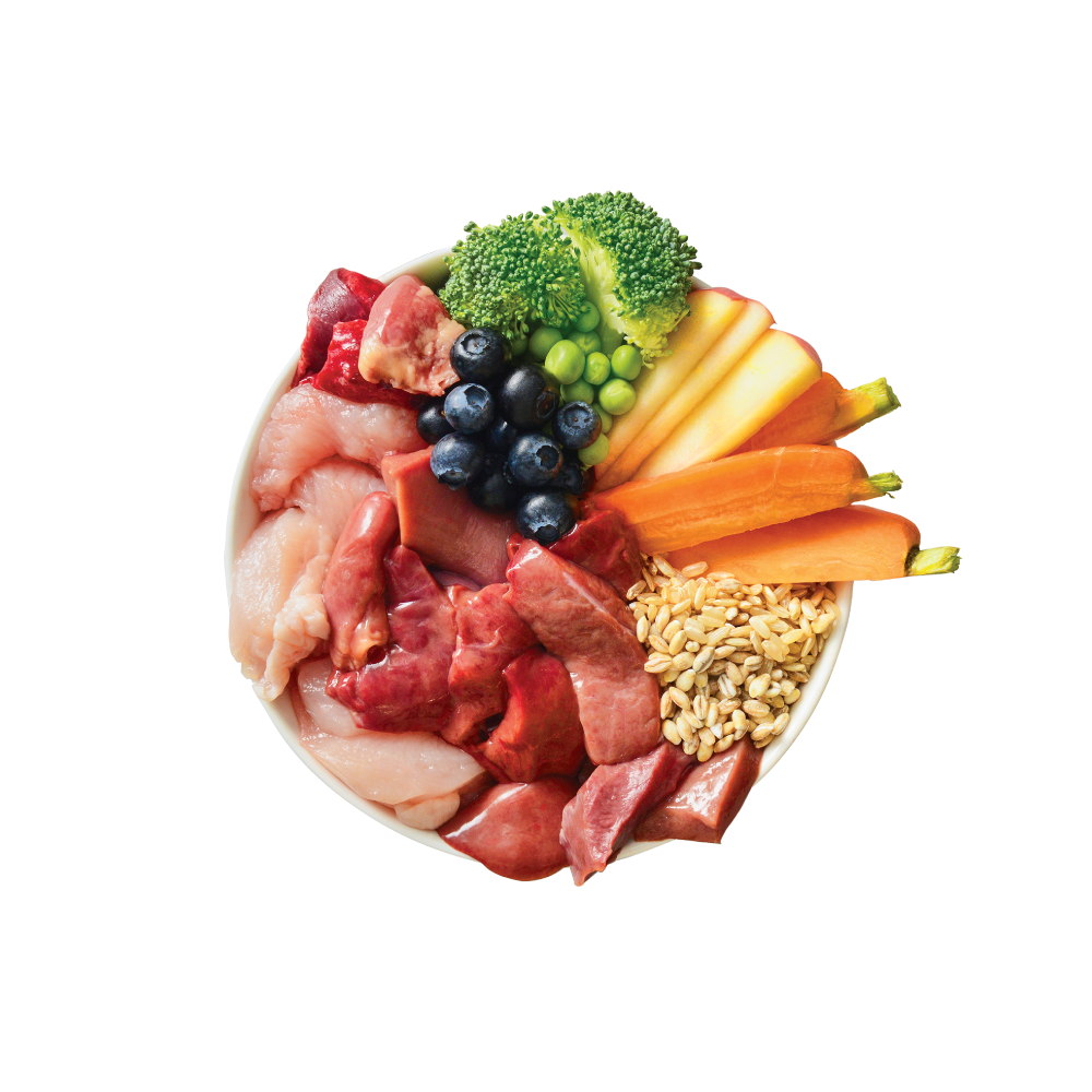 Chicken Casserole with Turkey (6 x 400g)