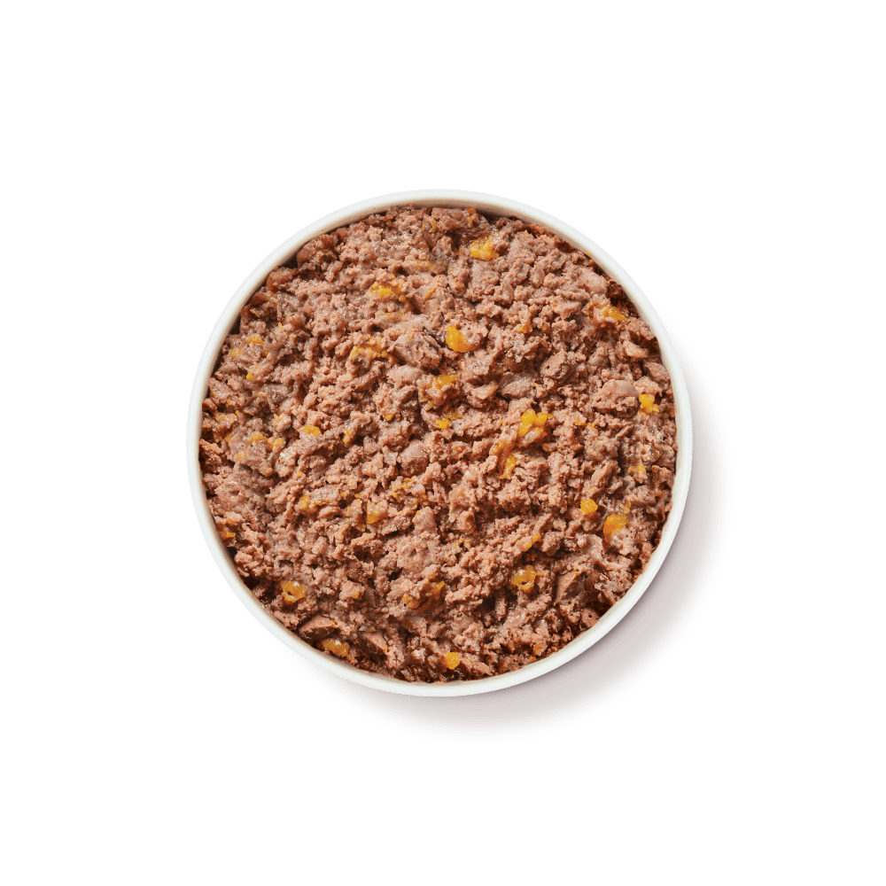 White bowl filled with ground beef on a white background