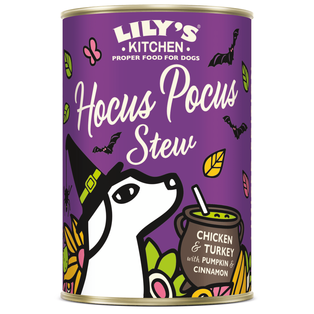 Lily's Kitchen Hocus Pocus Stew can for dogs on a purple background