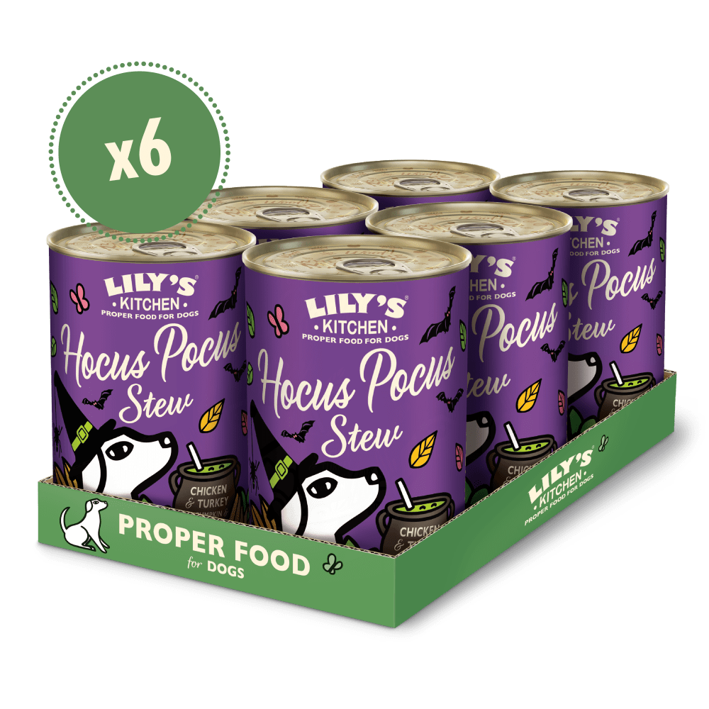 Box of Lily's Kitchen Hocus Pocus Stew dog food cans on a white background