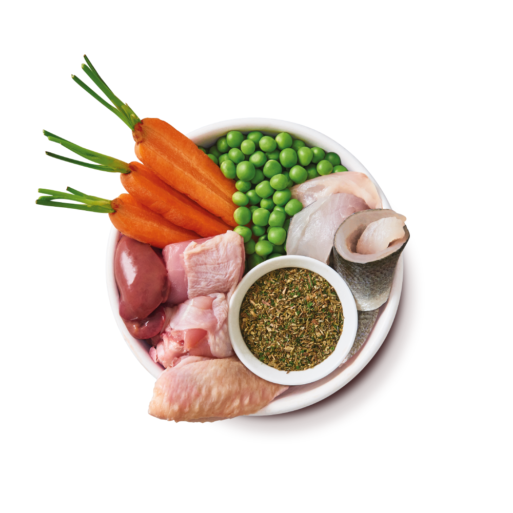 Bio Gericht mit Huhn für Welpen (11 x 150g)