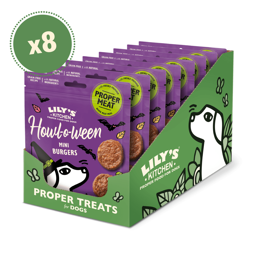 Packaging of Lily's Kitchen dog treats with purple packages and green display stand.