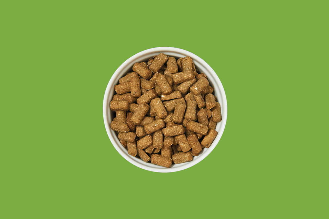 Optimales Futtermittel für Hunde knuspriger Hühner-Frühstückssnack mit Truthahn, Obst und Joghurt