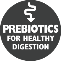 Prebióticos para uma digestão saudável