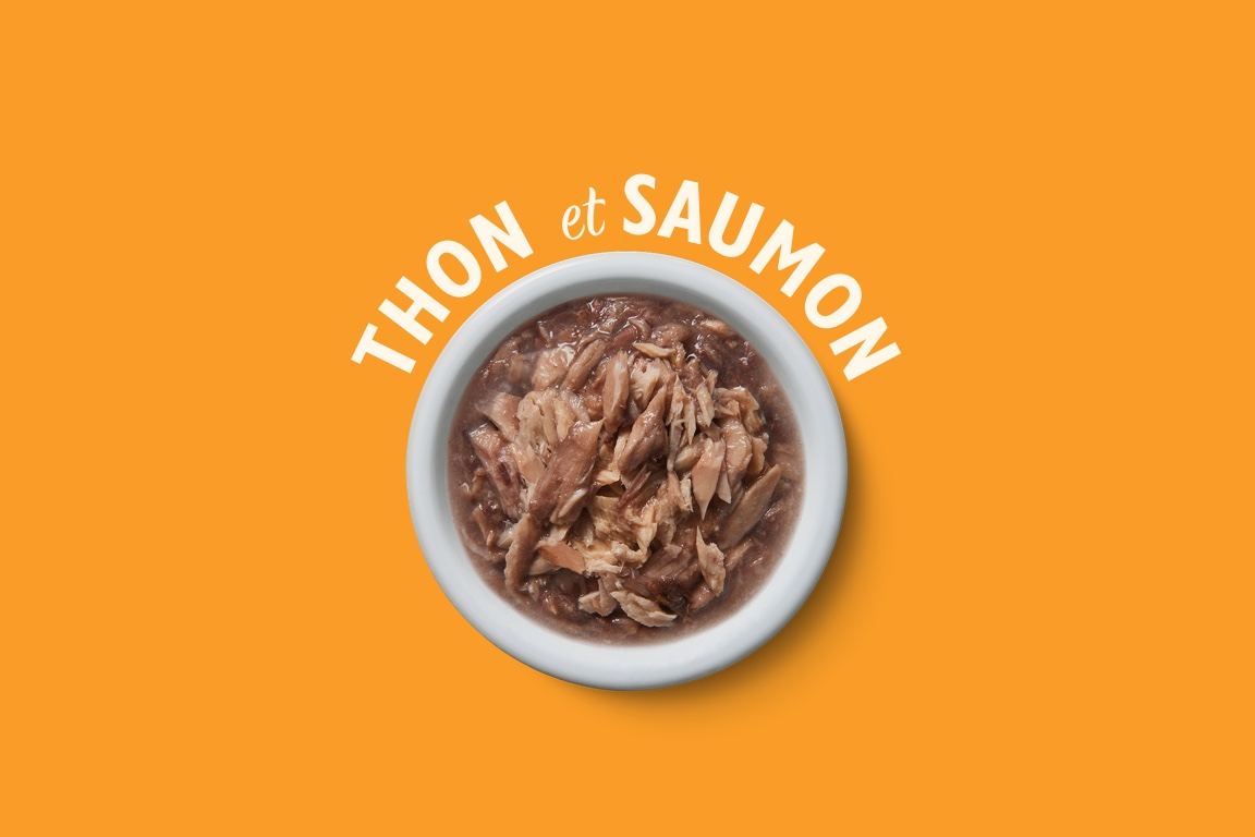 thon et saumon