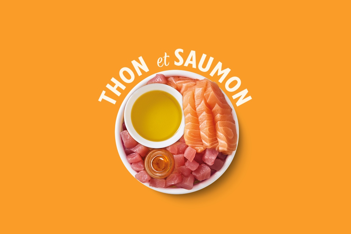 thon et saumon